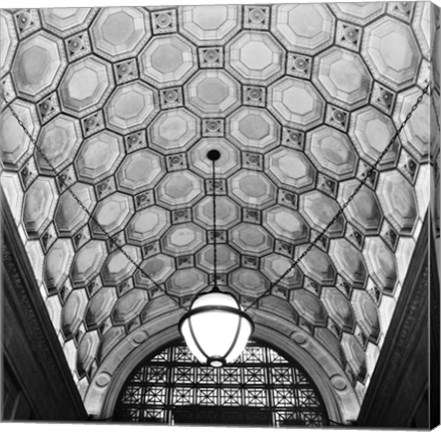 Framed Ceiling Detail Print