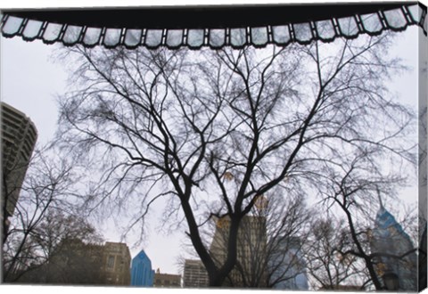 Framed Park View II (Color) Print