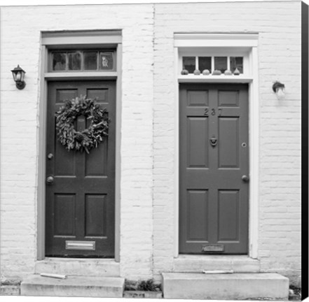 Framed Dual Doors Print