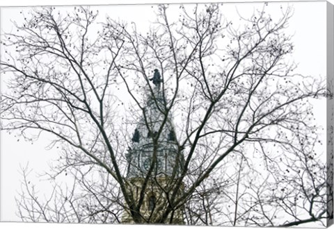 Framed City Hall (branches) (Color) Print