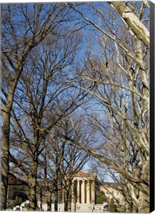 Framed Philadelphia Museum (Trees -Color) Print