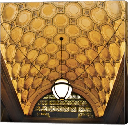 Framed Ceiling Detail (Color) Print