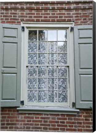 Framed Lace Curtain (Color) Print