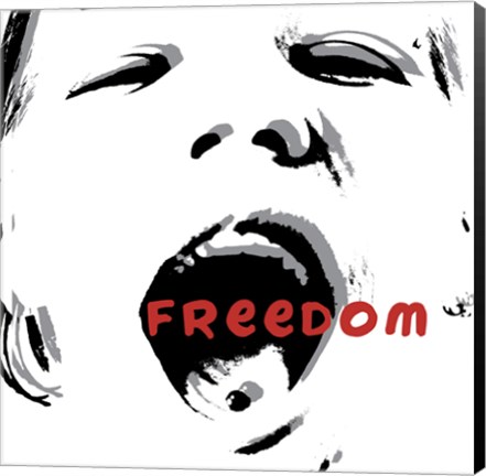 Framed Freedom Print