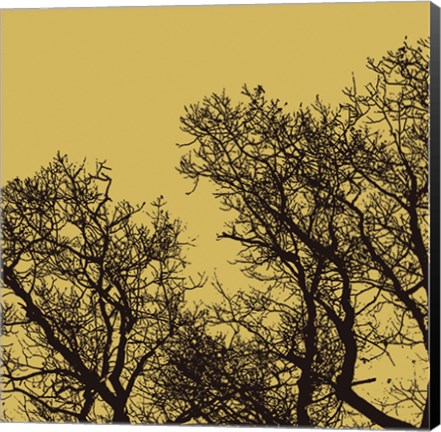Framed Rejoice I Print