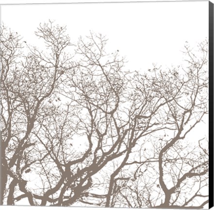 Framed Majesty II Print