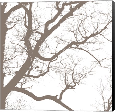 Framed Majesty IV Print