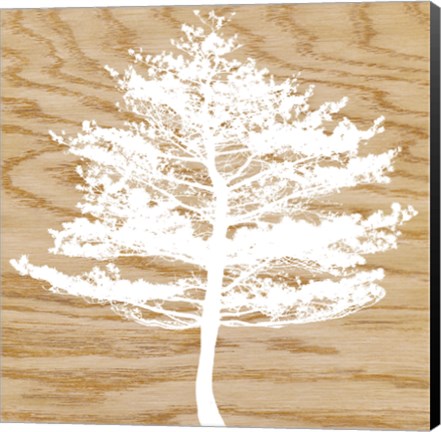 Framed Frosty Tree Print