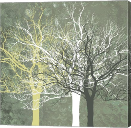 Framed Silent Forest Print