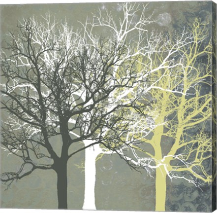 Framed Tranquil Forest Print