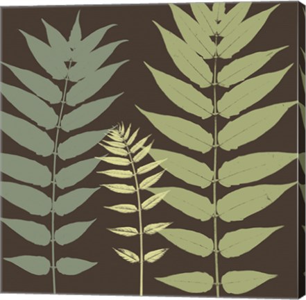 Framed Field Botanical Print