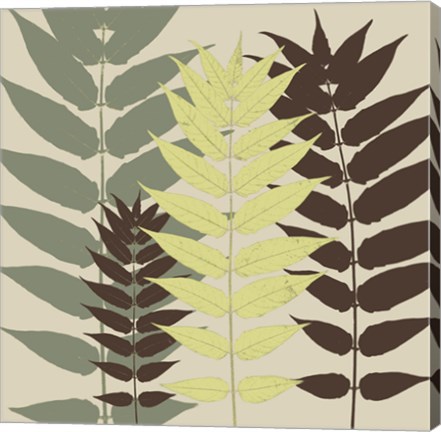 Framed Garden Botanical Print
