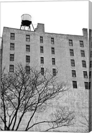 Framed Twenty-six Windows (b/w) Print