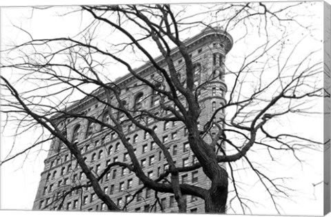 Framed Flatiron with Tree (b/w) Print
