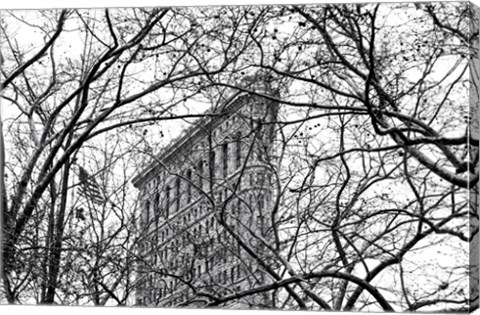 Framed Veiled Flatiron Building (b/w) Print