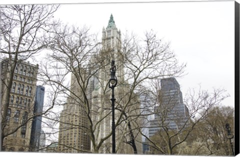 Framed Woolworth Building from City Hall Park Print