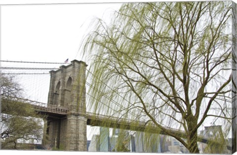 Framed Brooklyn Bridge and Willow Print