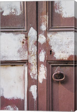 Framed Painted Door Print