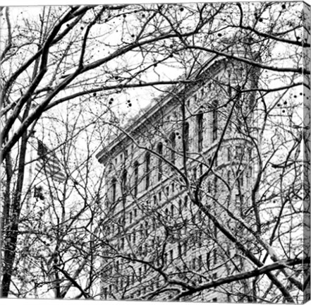 Framed Veiled Flatiron Building (b/w) (detail) Print