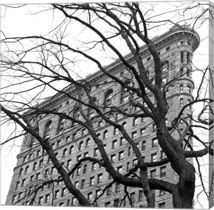 Framed Flatiron with Tree (b/w) (detail) Print