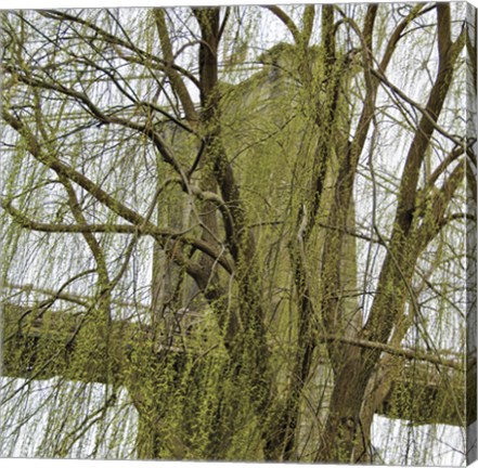 Framed Veiled Brooklyn Bridge (detail) Print