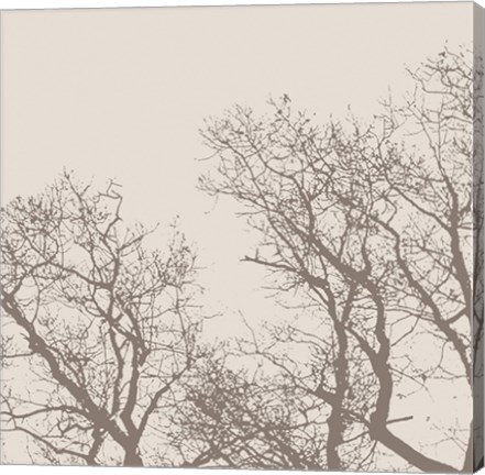 Framed Majesty I (beige) Print