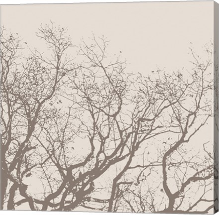 Framed Majesty II  (beige) Print