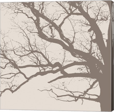 Framed Majesty III  (beige) Print