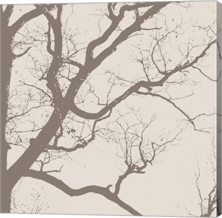 Framed Majesty IV  (beige) Print