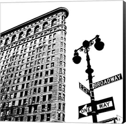 Framed Flatiron (detail) Print