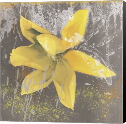 Framed Tulip Fresco (yellow) Print