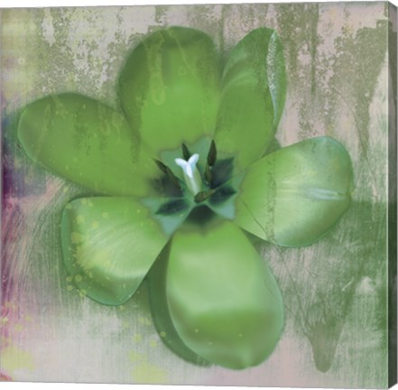 Framed Tulip Fresco (green) Print