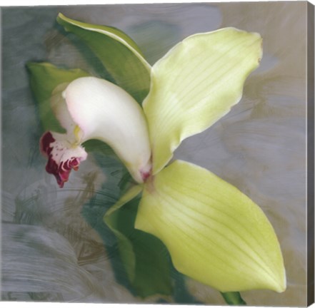 Framed Tropicale Print