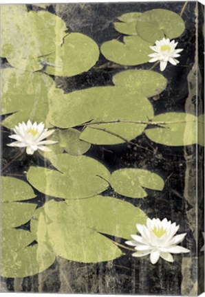 Framed Pond Blossoms Print