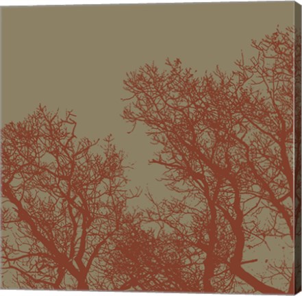 Framed Cinnamon Tree I Print