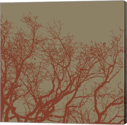 Framed Cinnamon Tree II Print