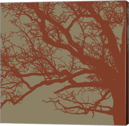 Framed Cinnamon Tree III Print