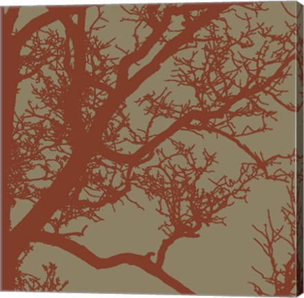 Framed Cinnamon Tree IV Print