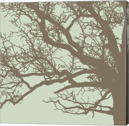 Framed Winter Tree III Print