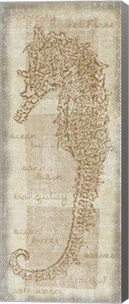 Framed Sea Horse Print