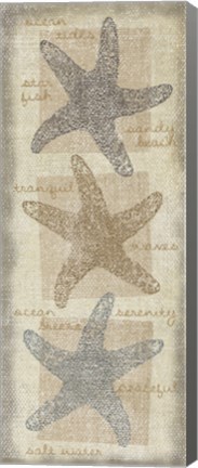 Framed Star Fish Print