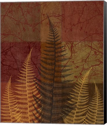 Framed Ferns II Print