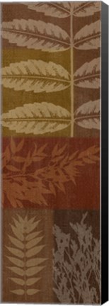 Framed Foliage II Print