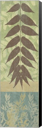 Framed Leaves II Print