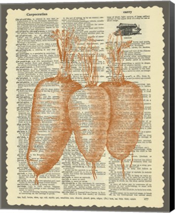 Framed Carrots Print