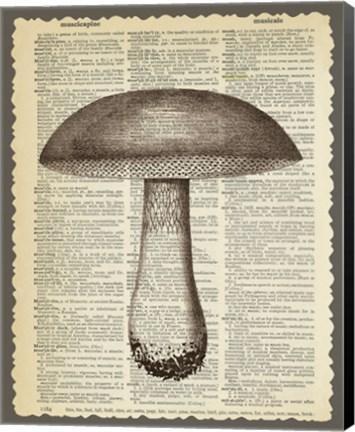 Framed Mushroom Print