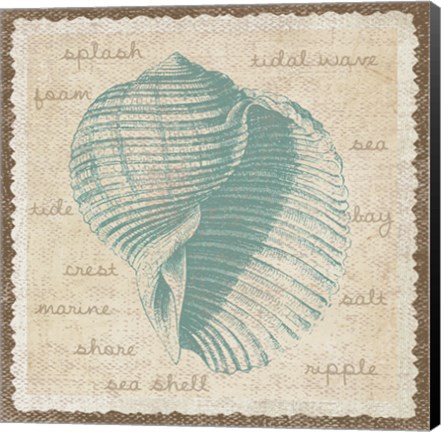 Framed Shell Print