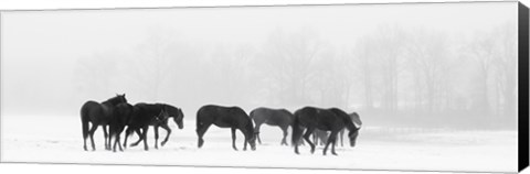 Framed Crossing Print