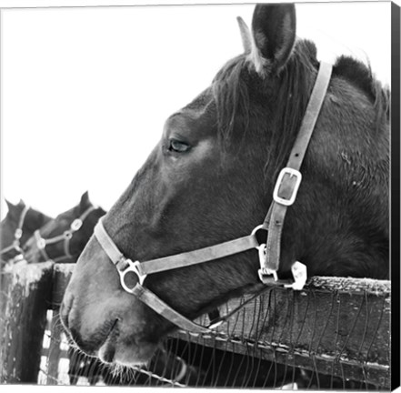 Framed Looking Ahead Print