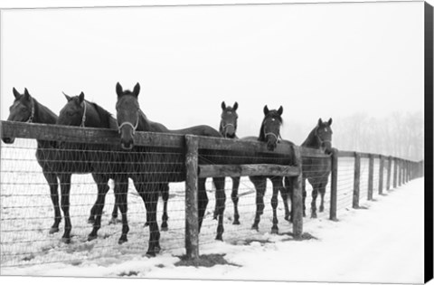 Framed Six Faces Print